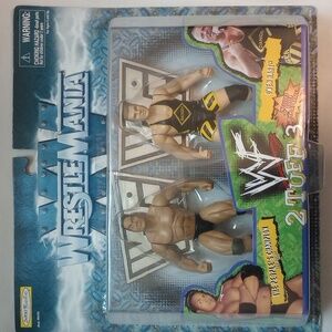 1998 WrestleMania The Rock & Owen Hart